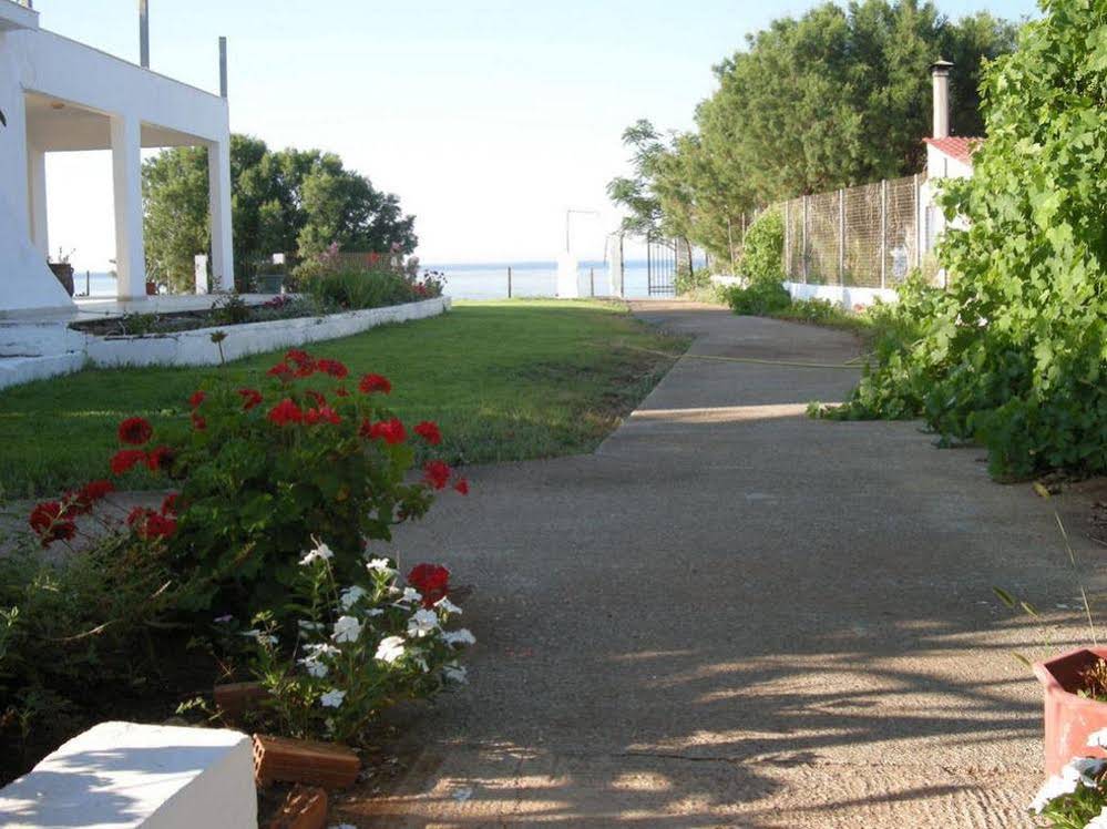 Nicholas Beach Studios