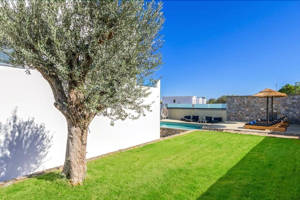 Lambis Athina