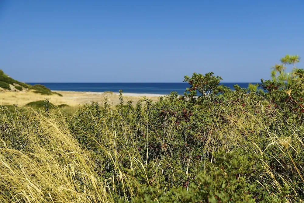 Live by the sea at House Almyra