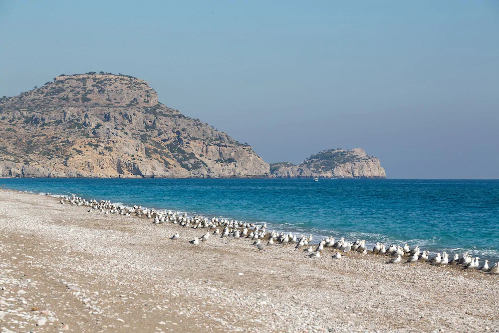 Villa House Of Paradise