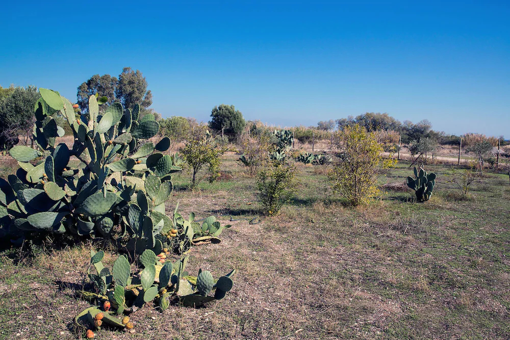 Villa House Of Paradise