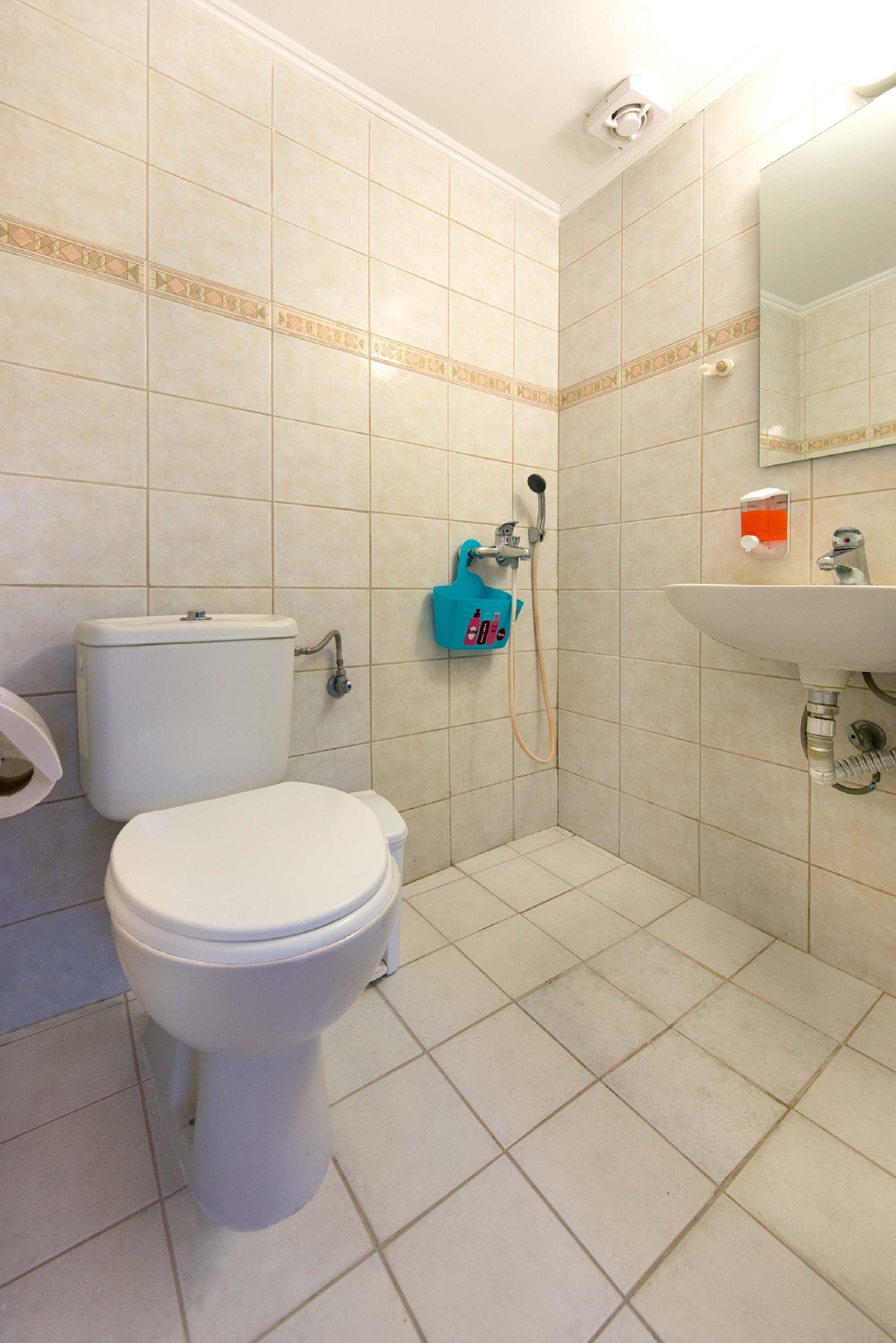 Knights Of The Old Town