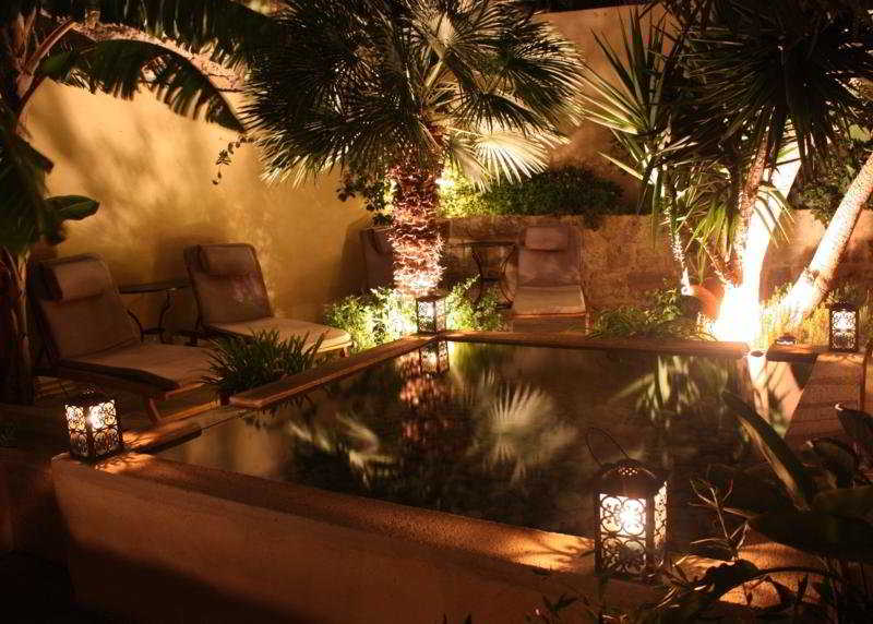 Spirit of the Knights