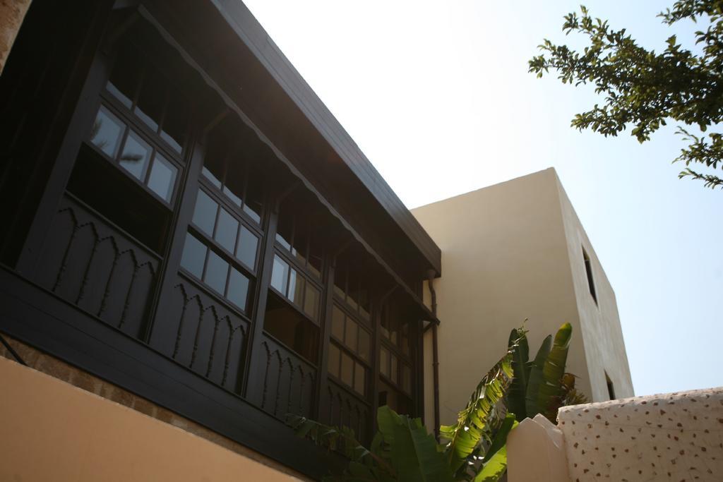 Spirit of the Knights