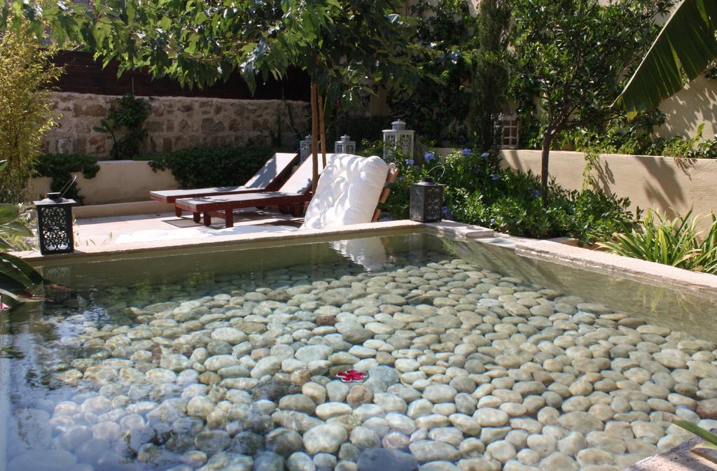 Spirit of the Knights