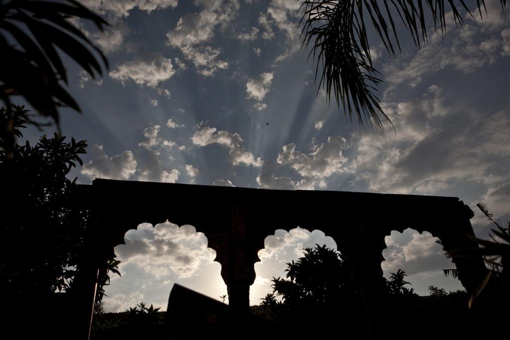 Spirit of the Knights