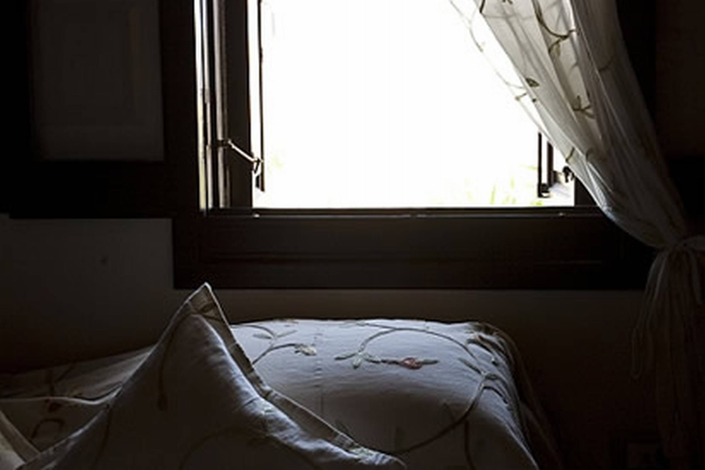 Spirit of the Knights