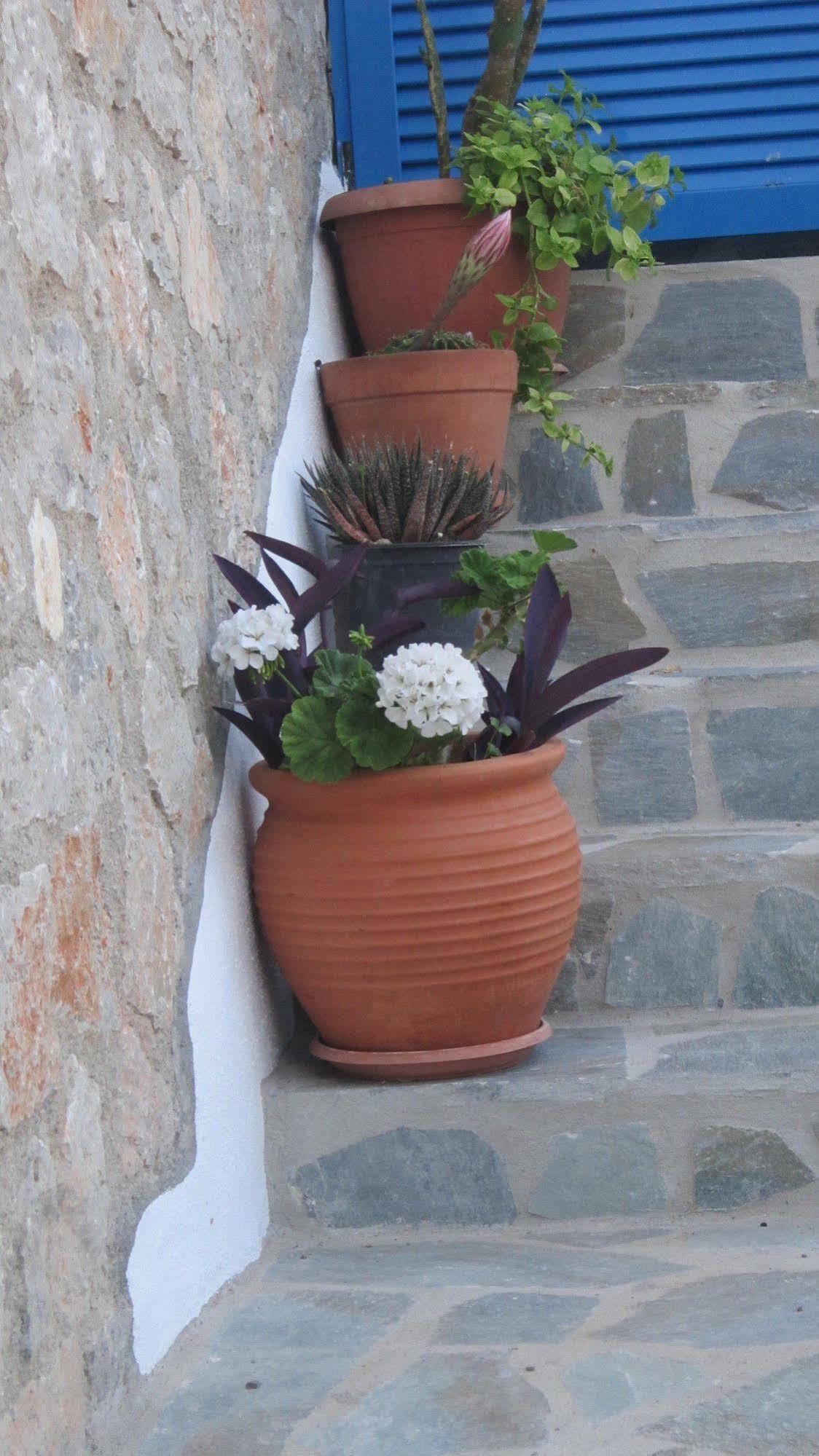 Agnanti Beach Studios