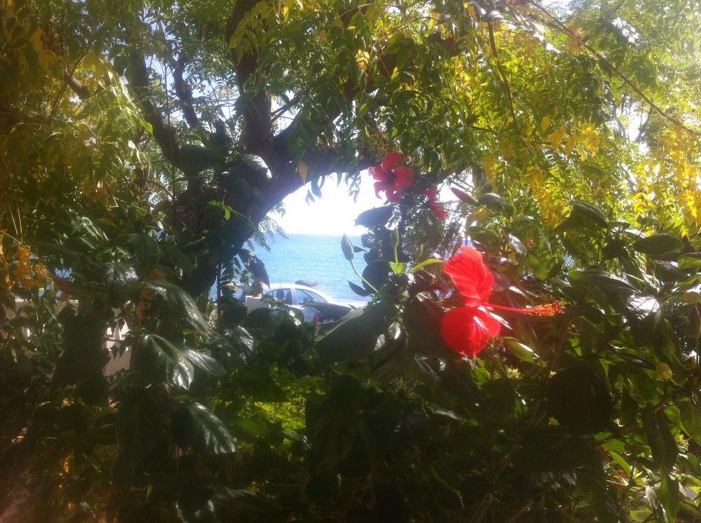 Stegna Mare