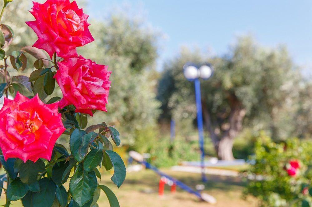 Filoxenia Hotel - Apartments