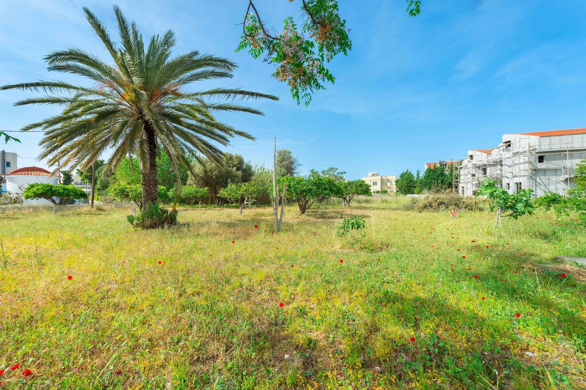 Agia Paraskevi Villa