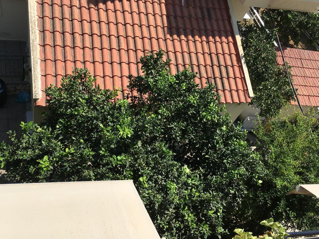 Ilyssion Holidays Apartments & Studios