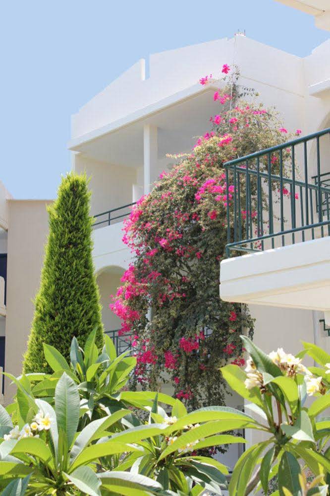 Sea Melody Beach Hotel