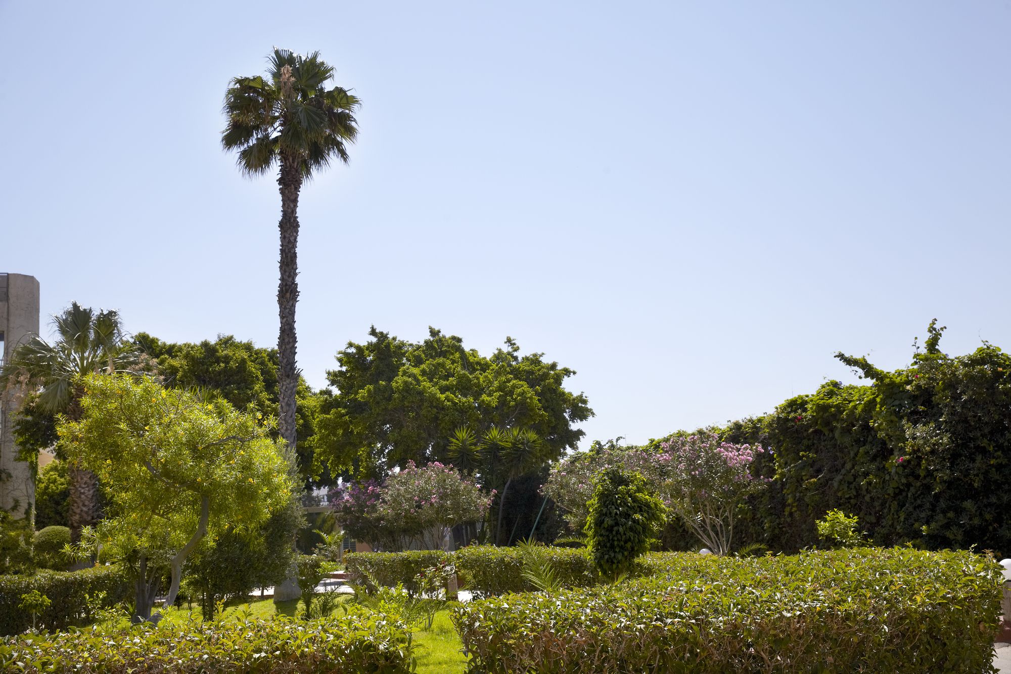 Sunshine Rhodes Hotel
