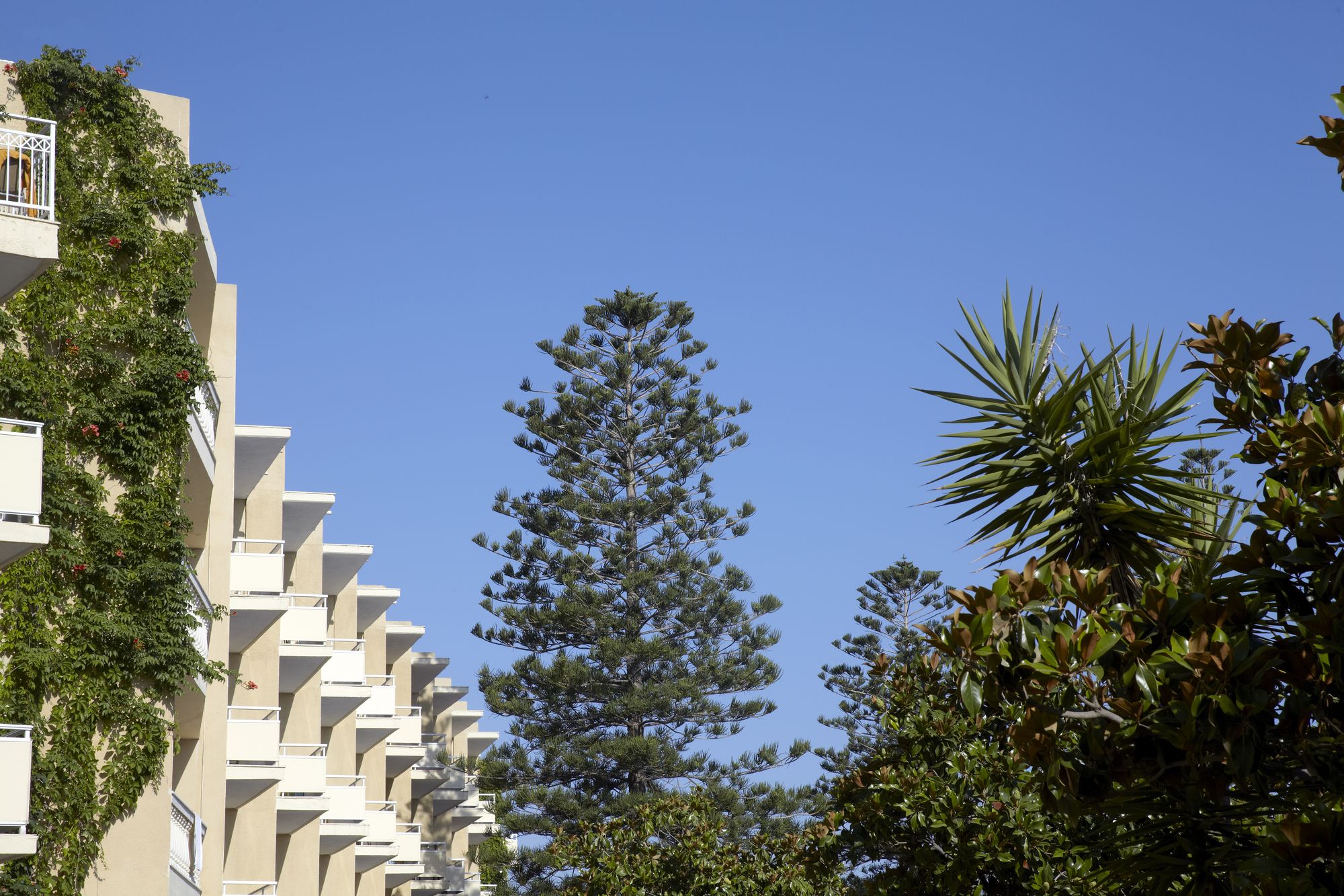 Sunshine Rhodes Hotel