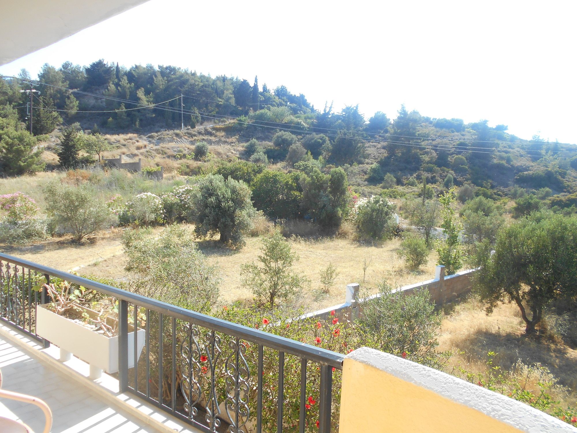 Villa Sofia