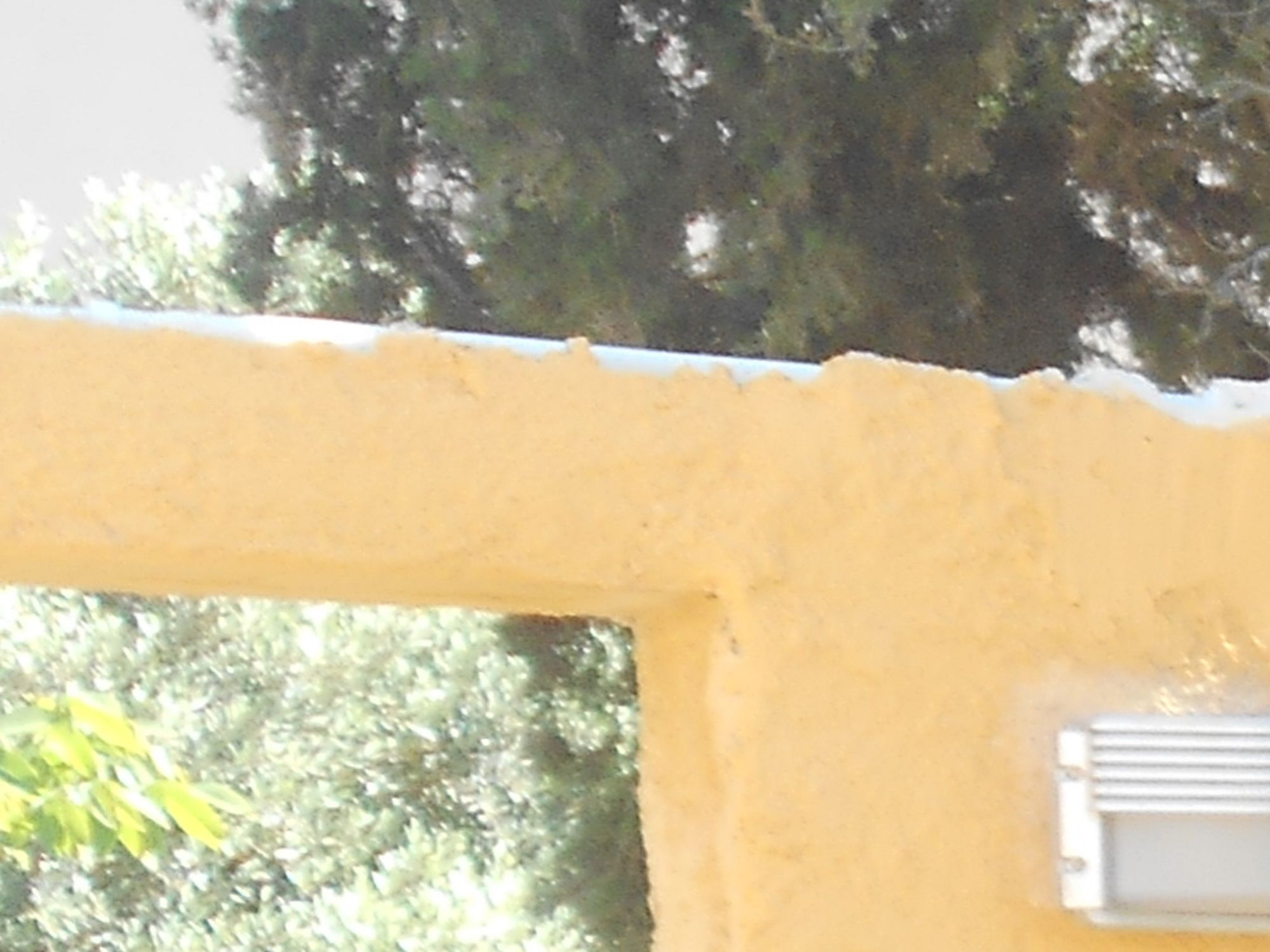 Villa Sofia