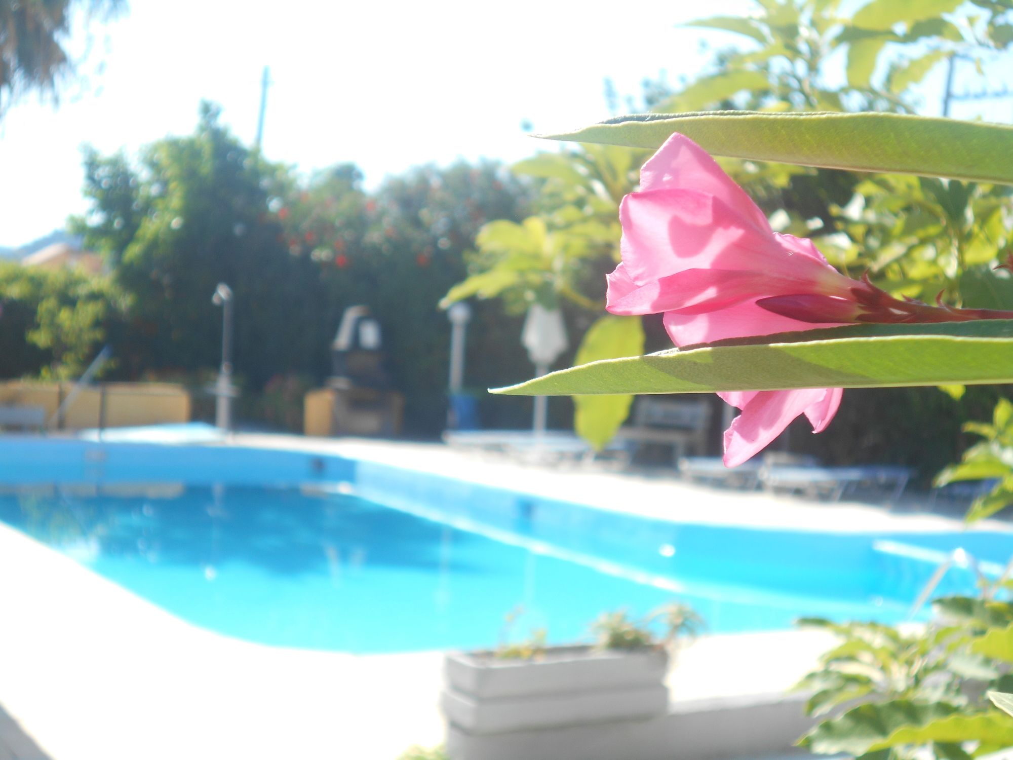 Villa Sofia