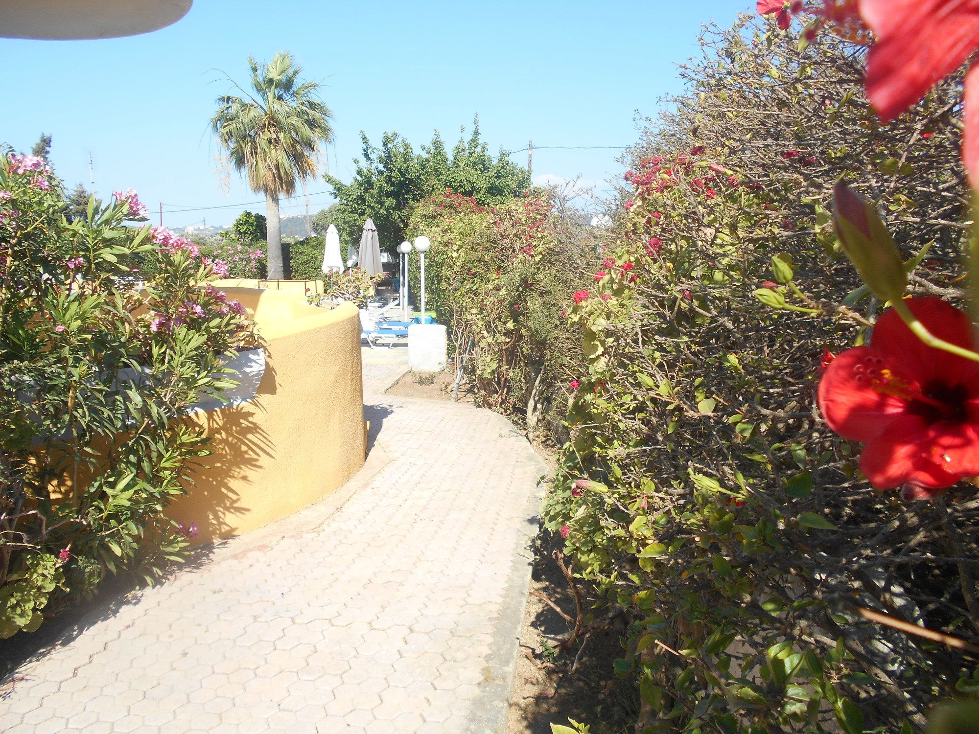 Villa Sofia