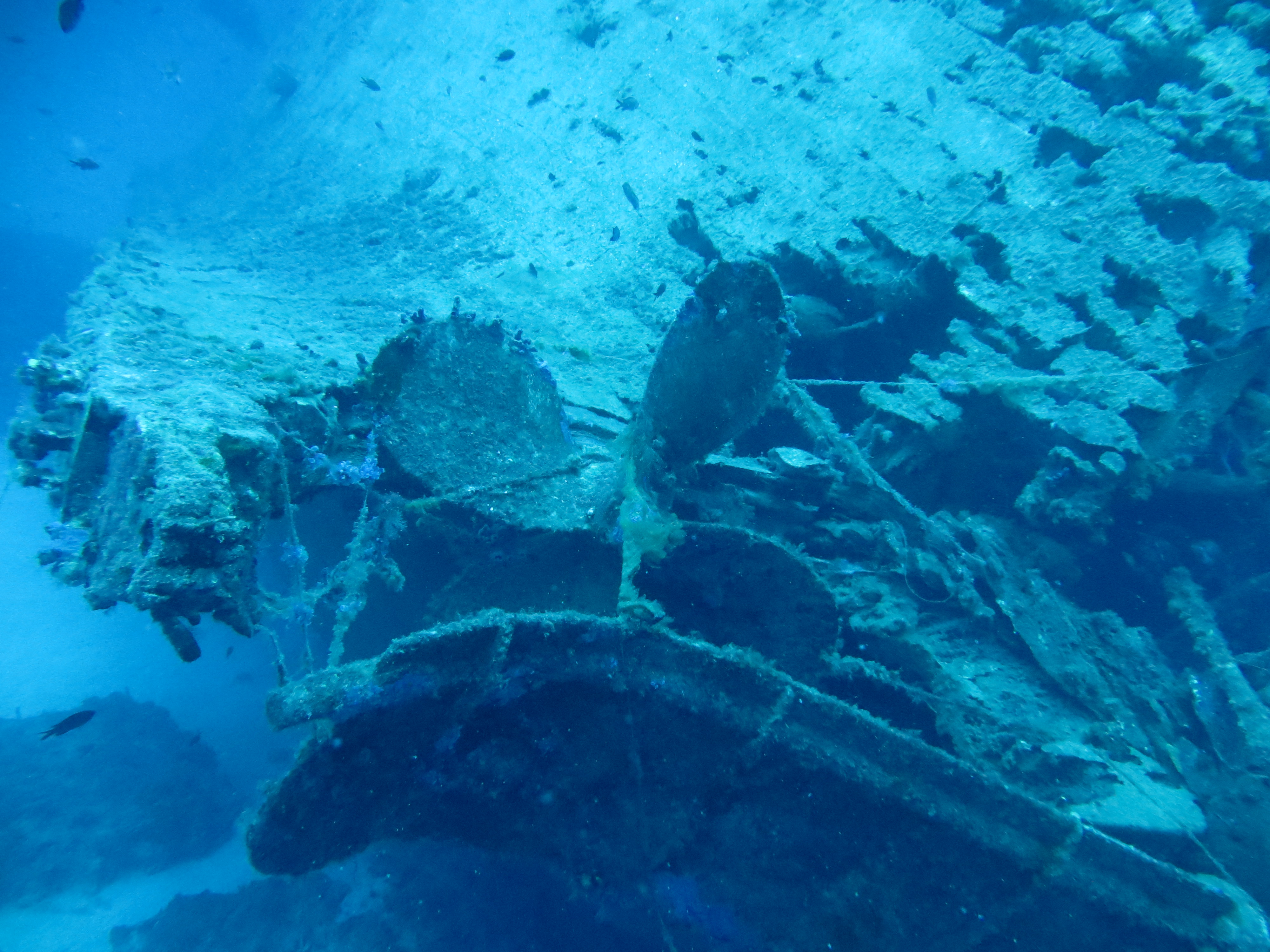 Kerveli Luxury Villa