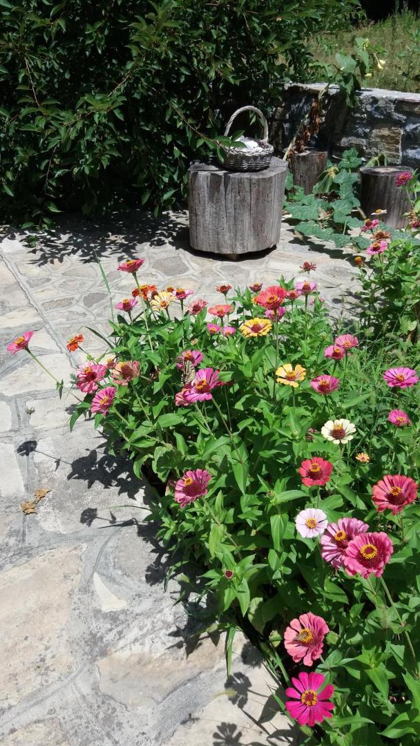 Alekos Rooms and Apartments