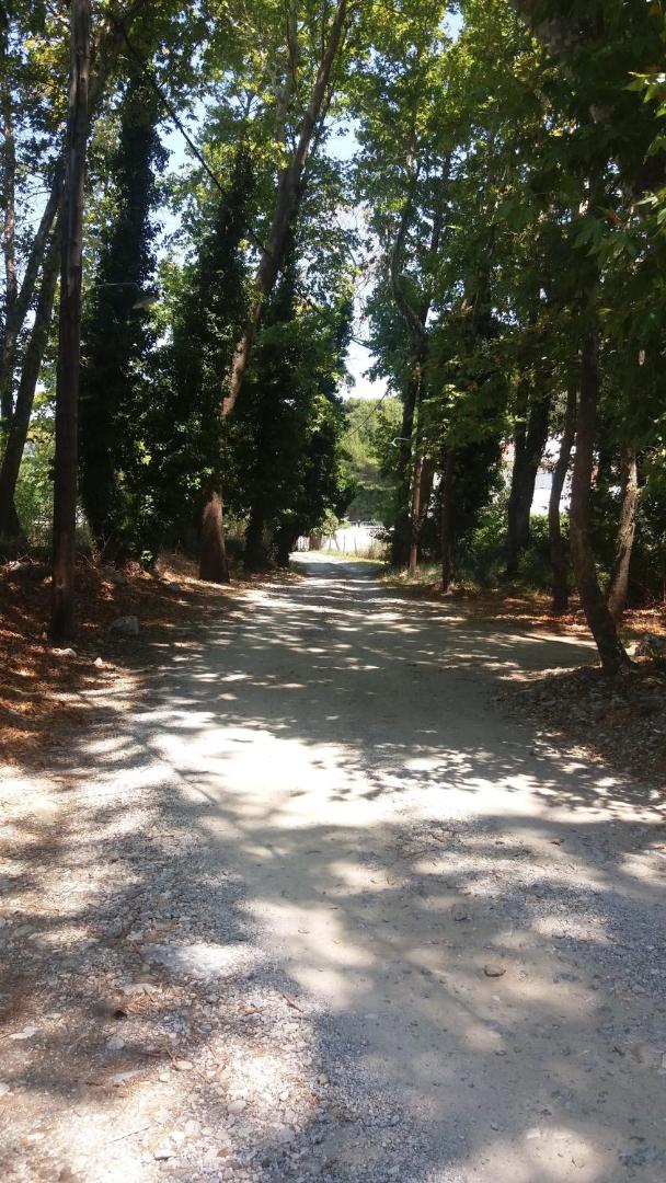 Alekos Rooms and Apartments