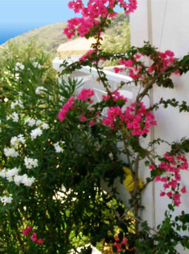 Villa Anthemoessa