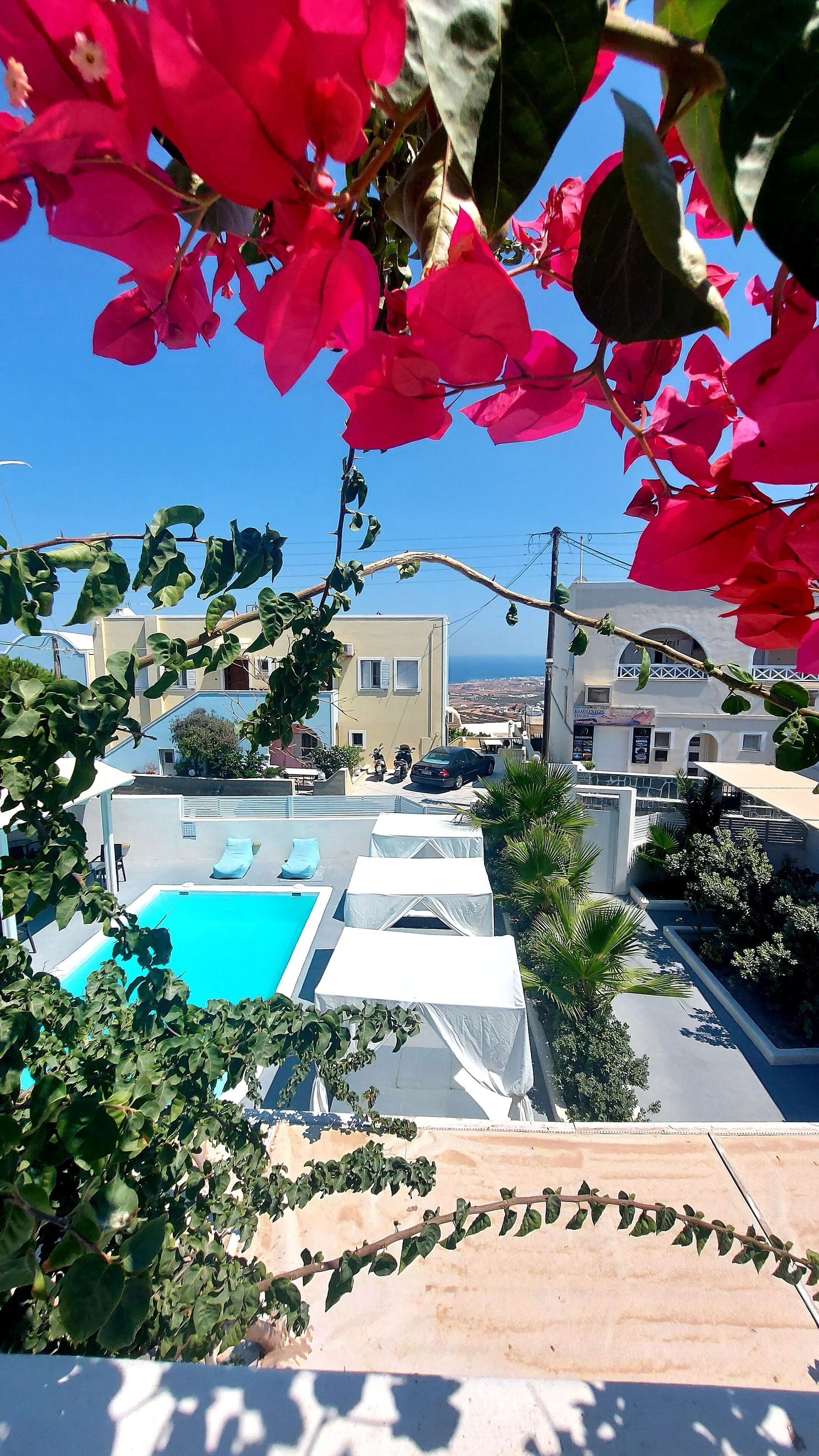 Ambience Suites
