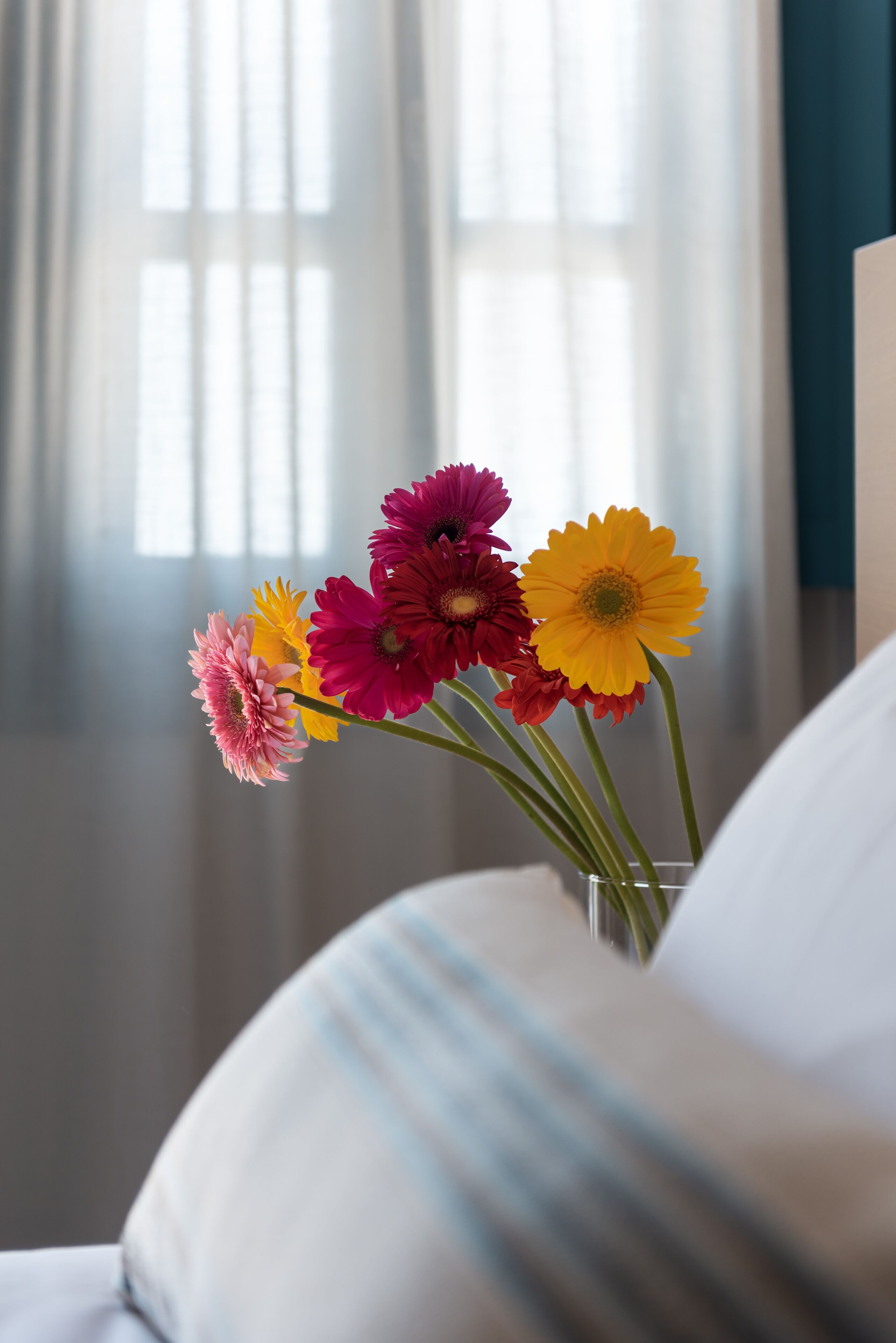 Aeifos Boutique Hotel