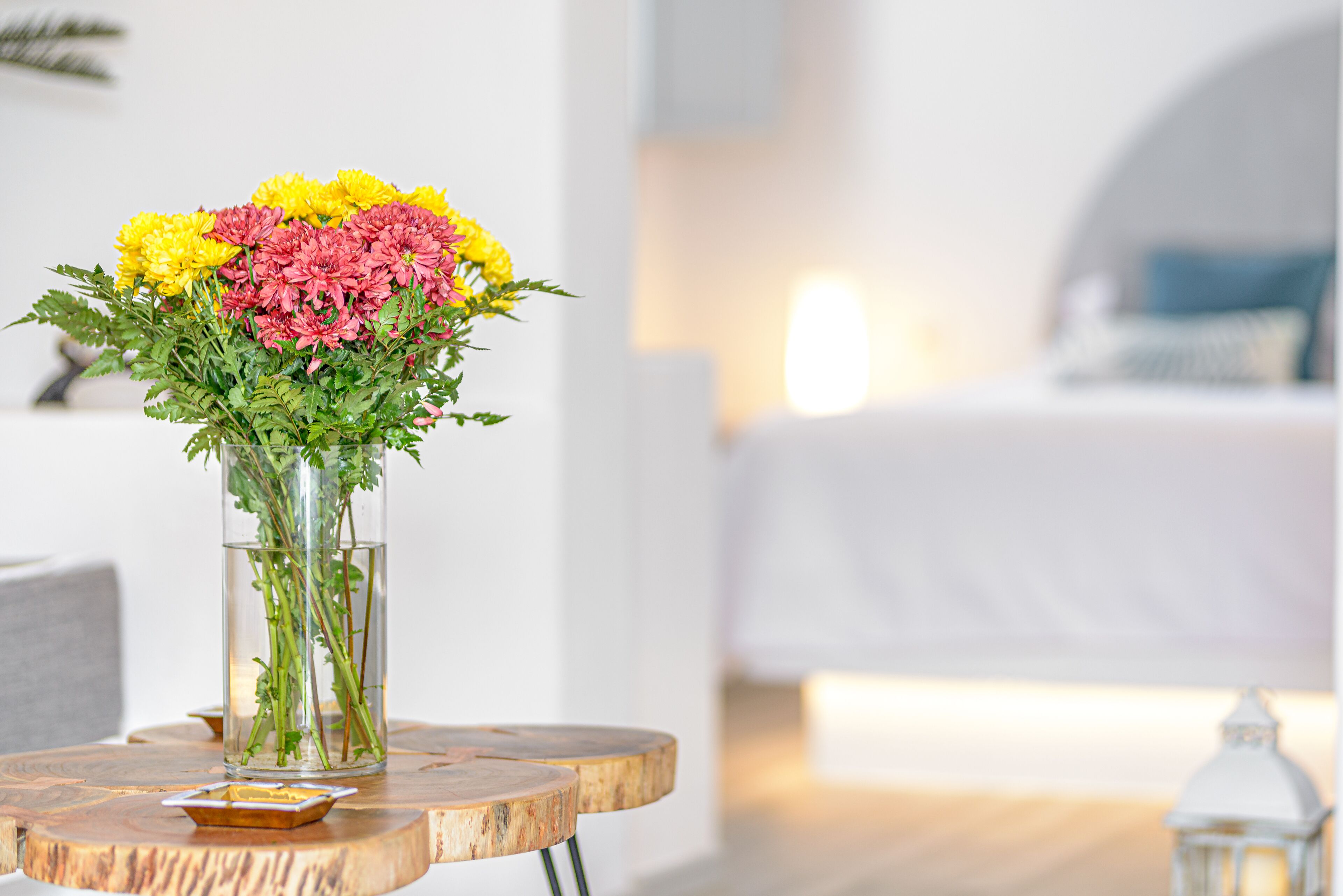 Amoramelia Suites