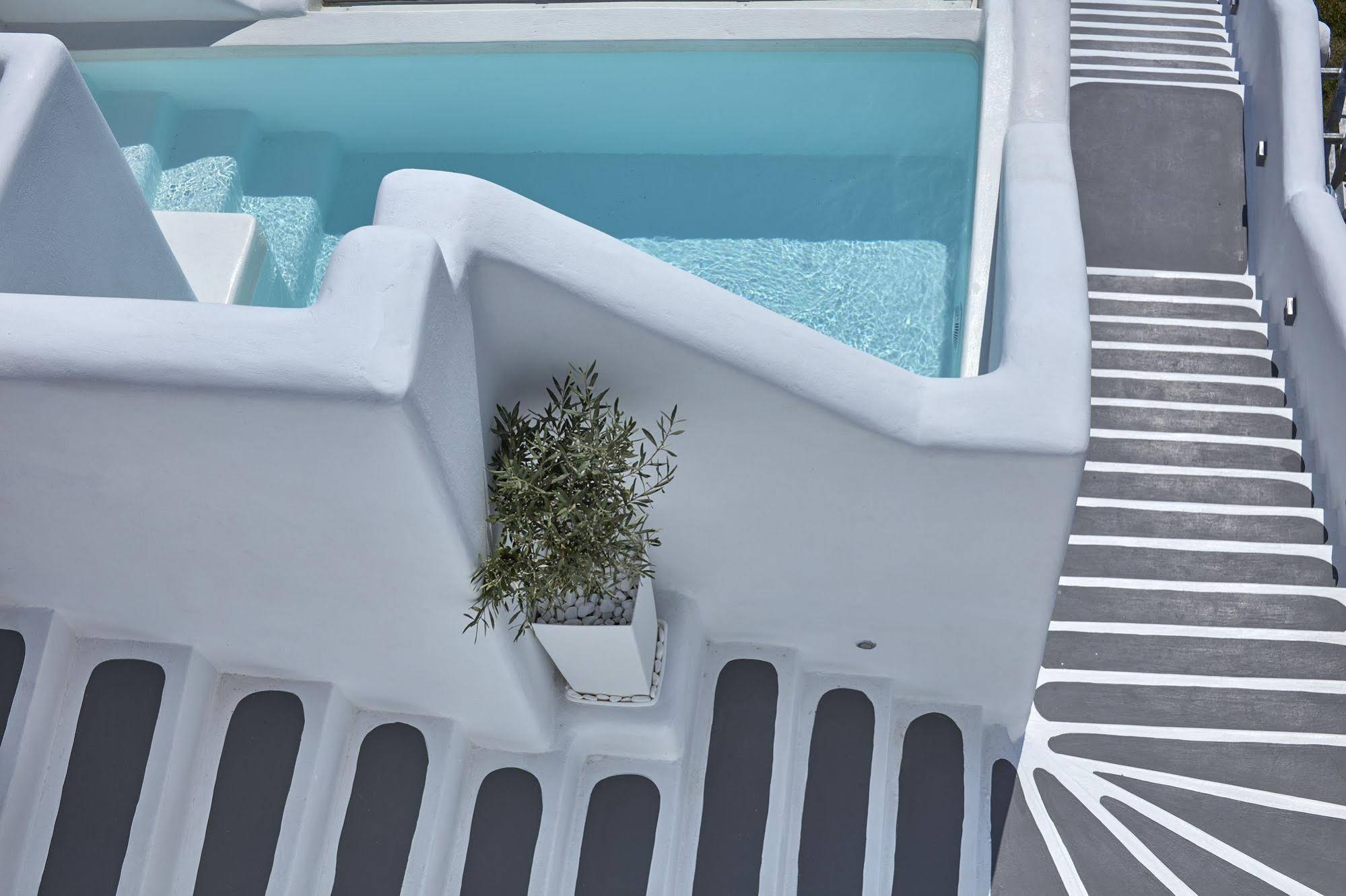 Charisma Suites