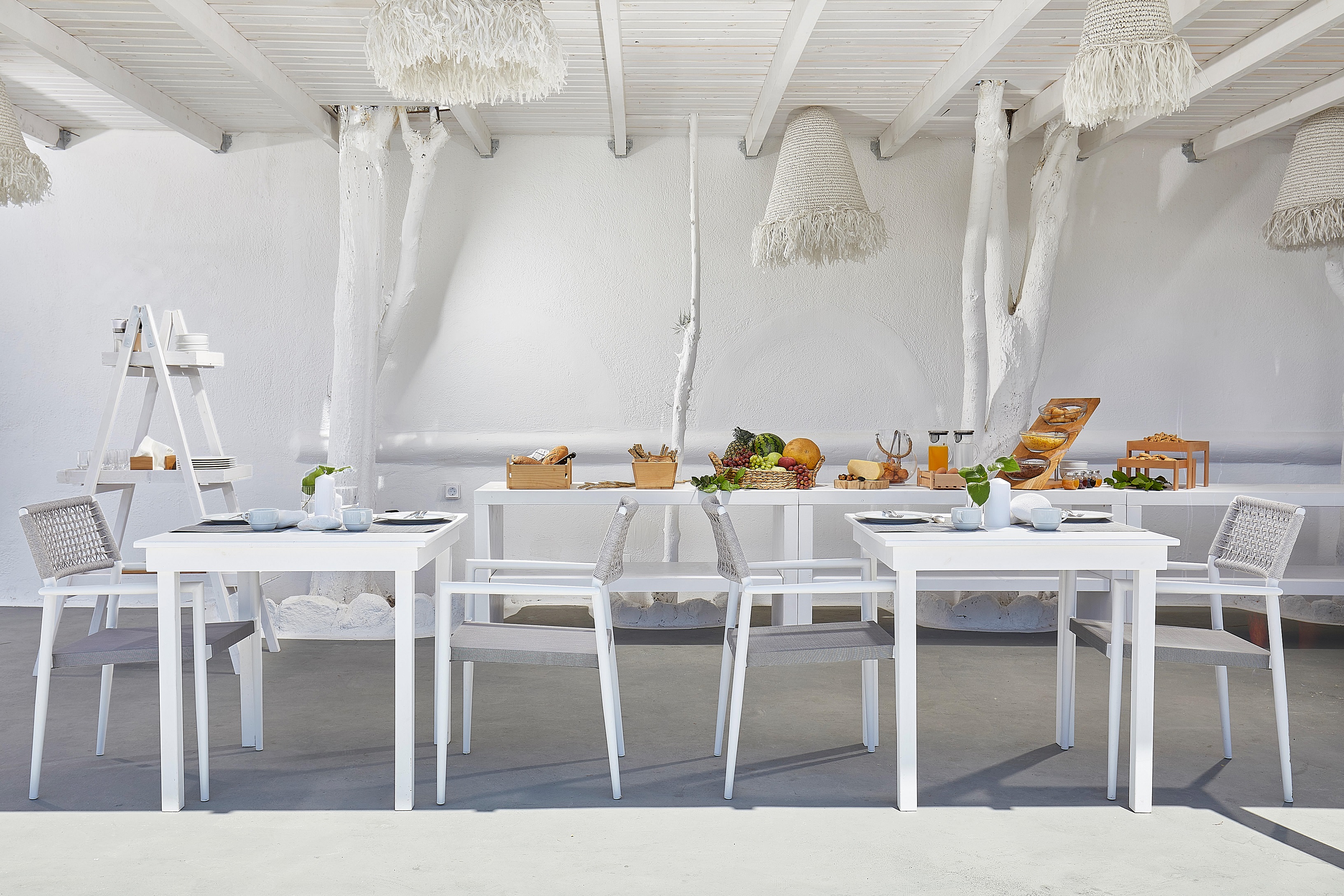 Petri Suites