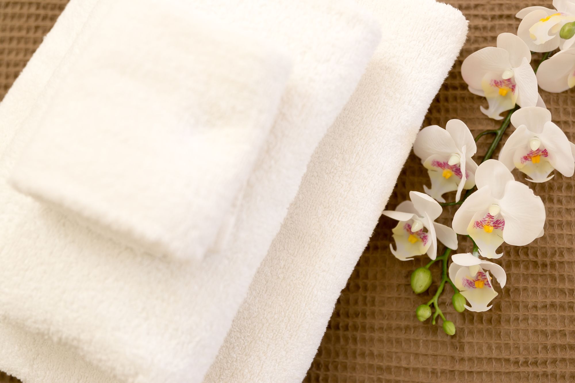 White Orchid Villa