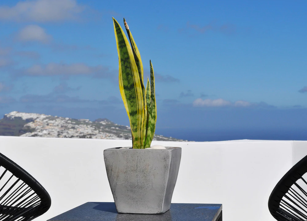 Nerti Suites