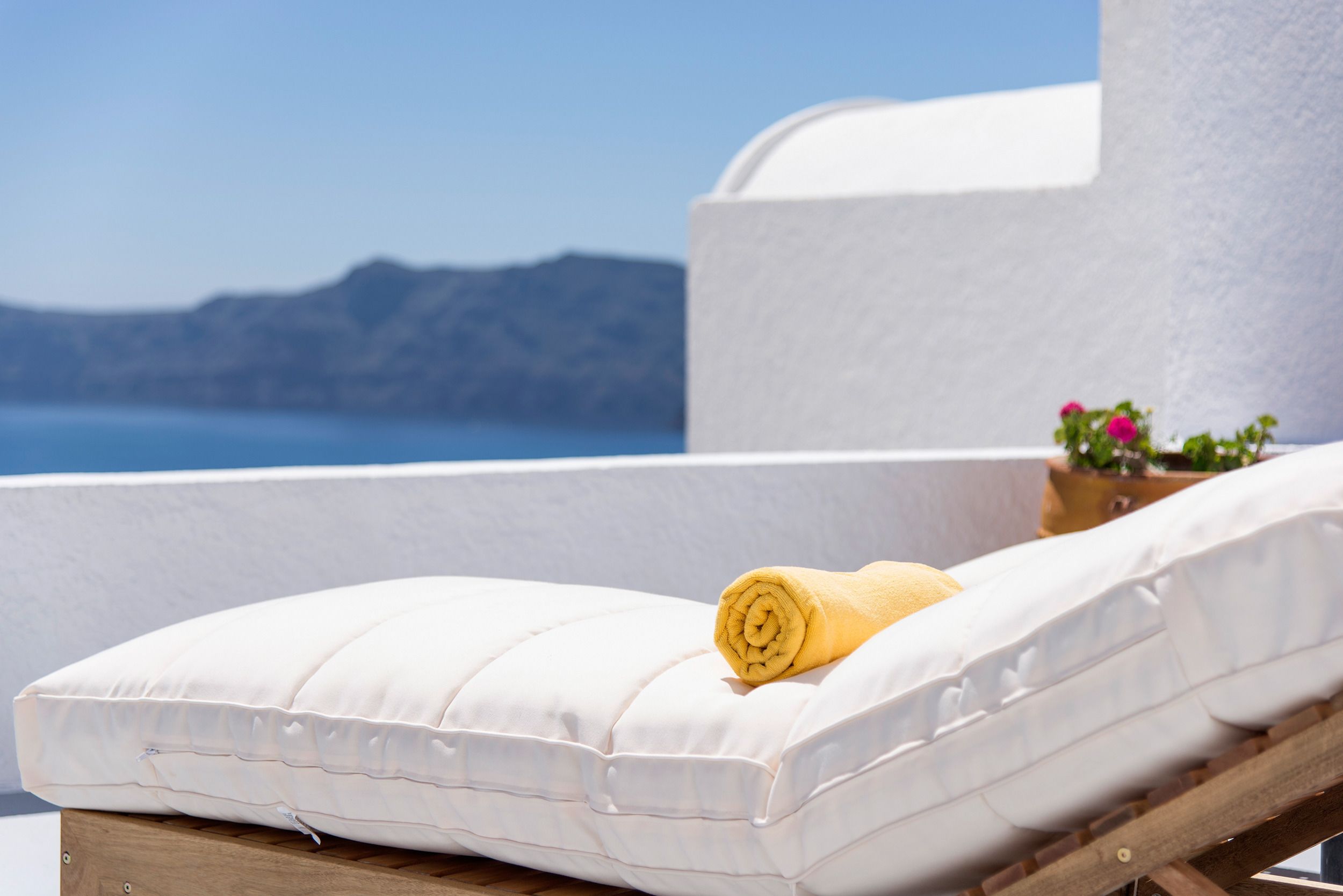 Perfect Purity House