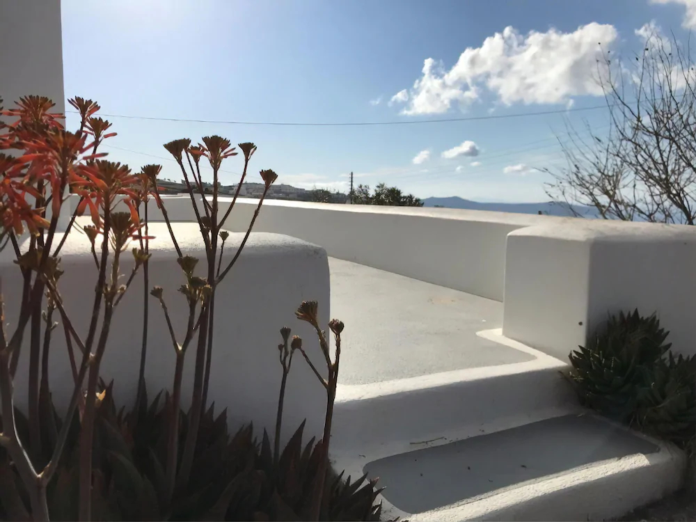 Wine & Wind House