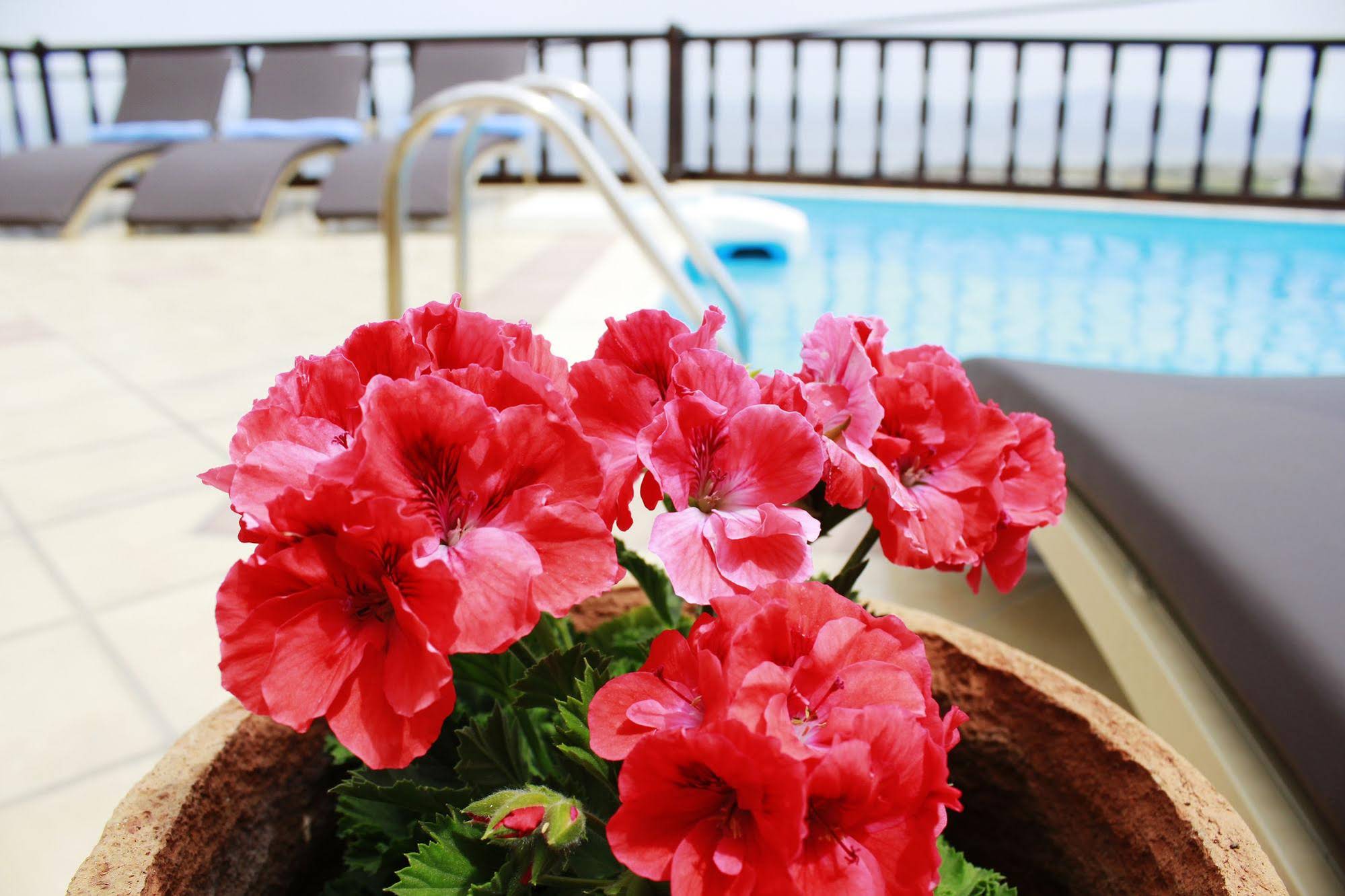 Amerisa Suites