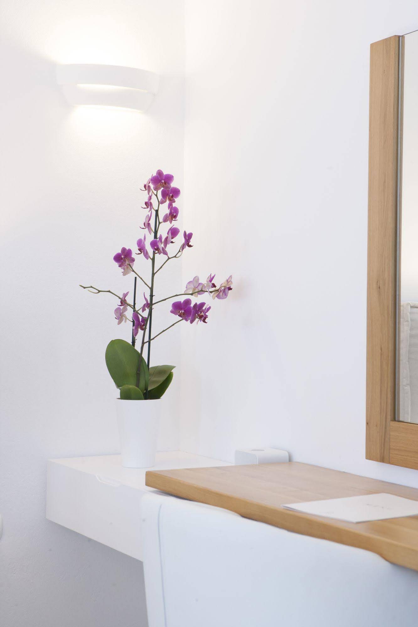 Anteliz Suites