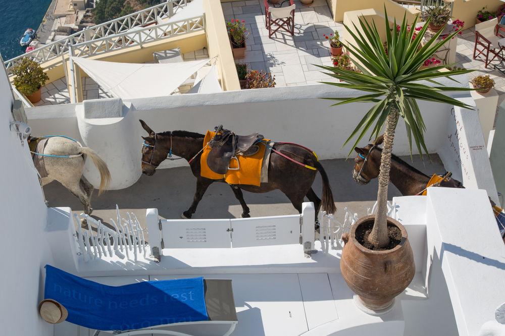 Fanari Vista Suites