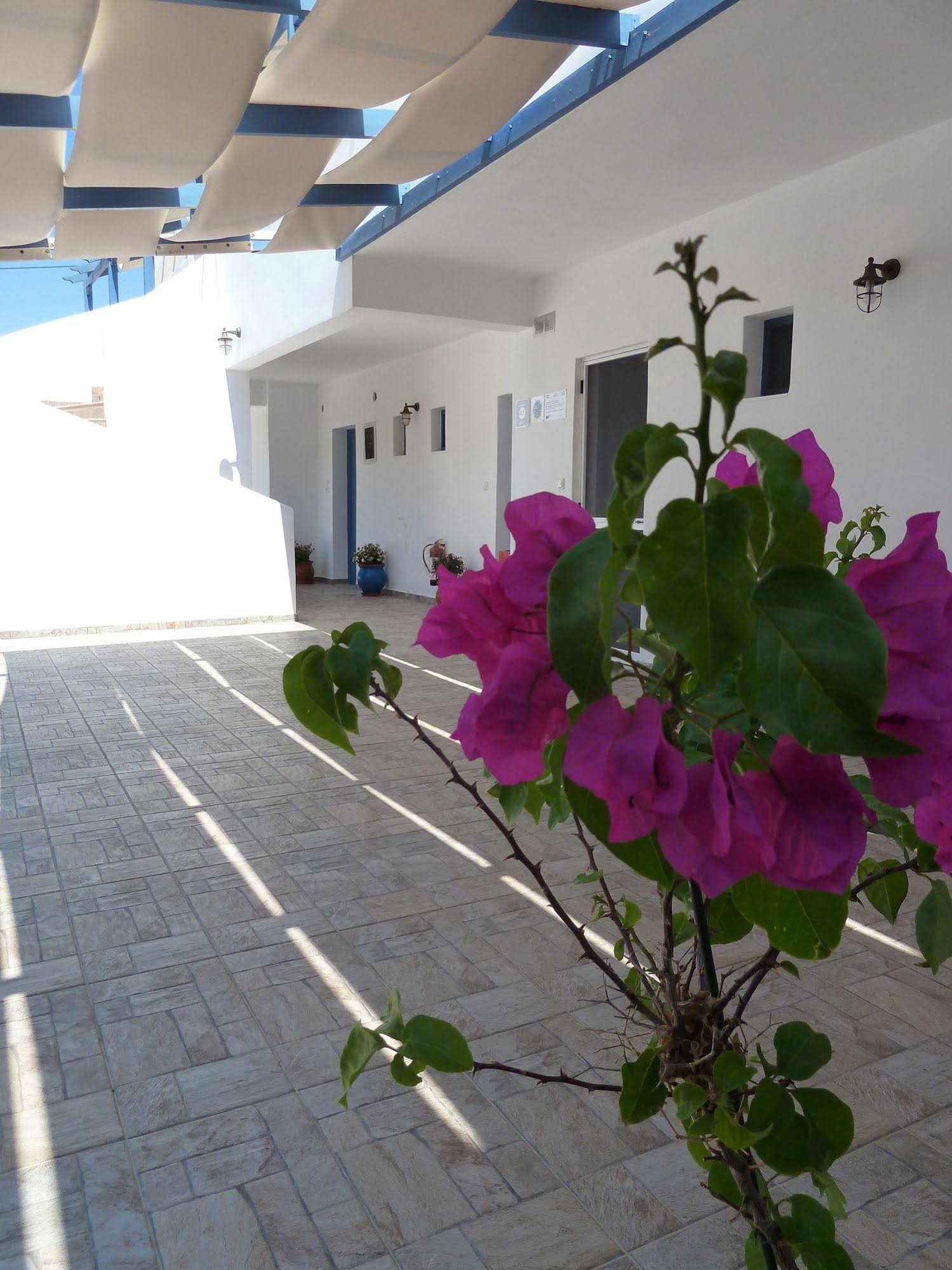Studios Dedes