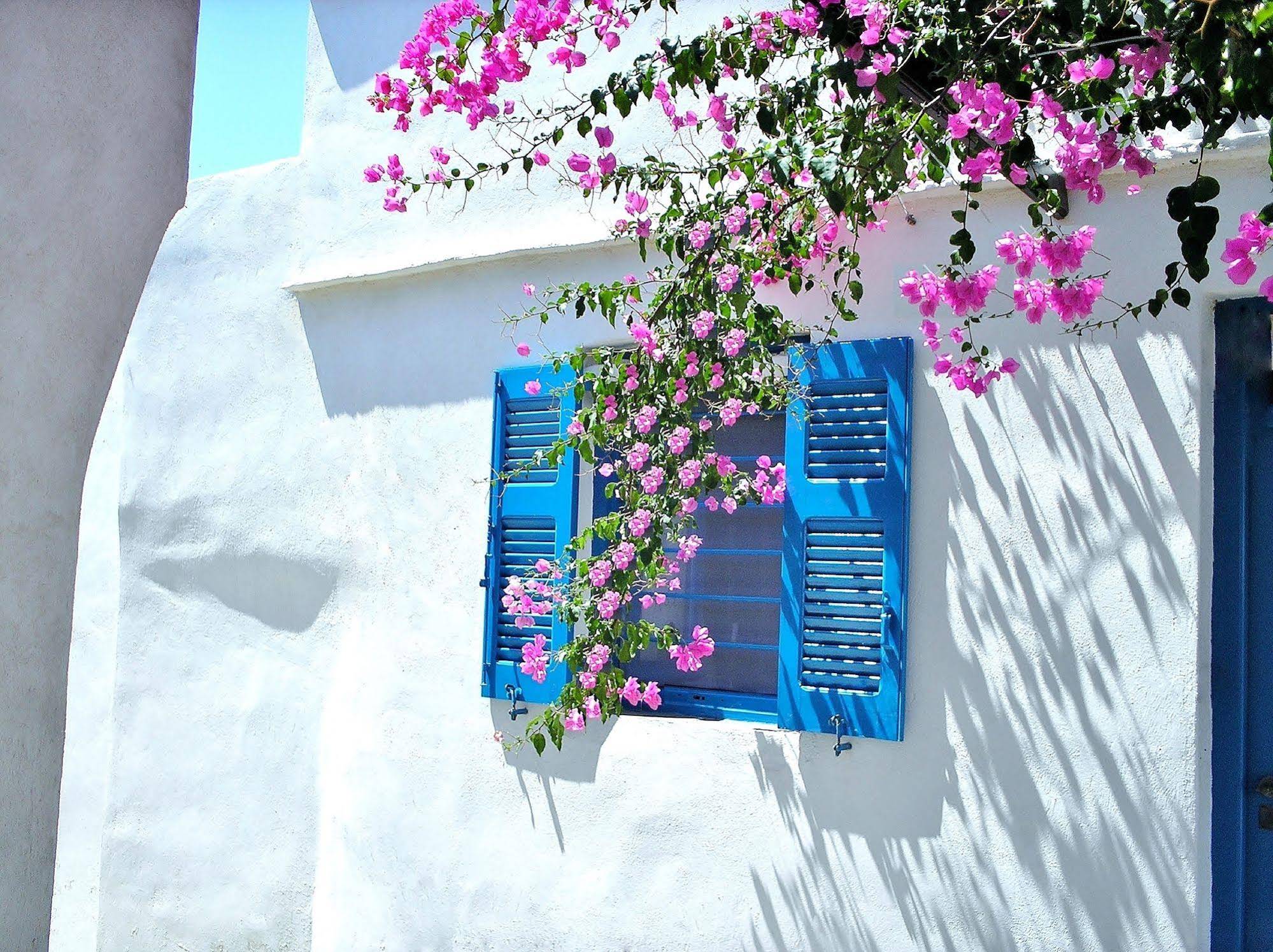 Purple Flower Villa