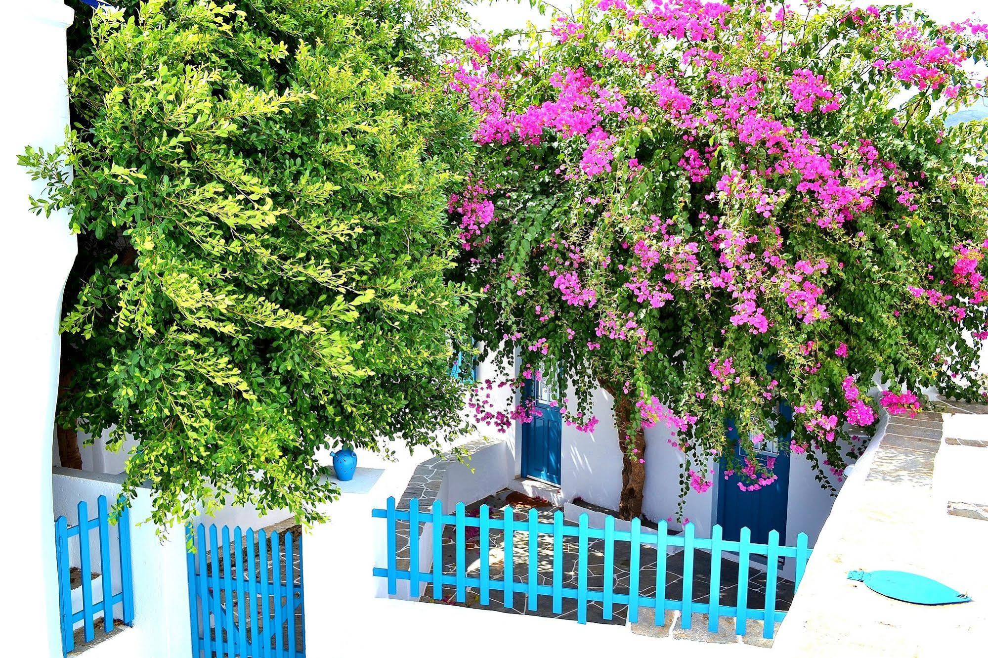 Purple Flower Villa