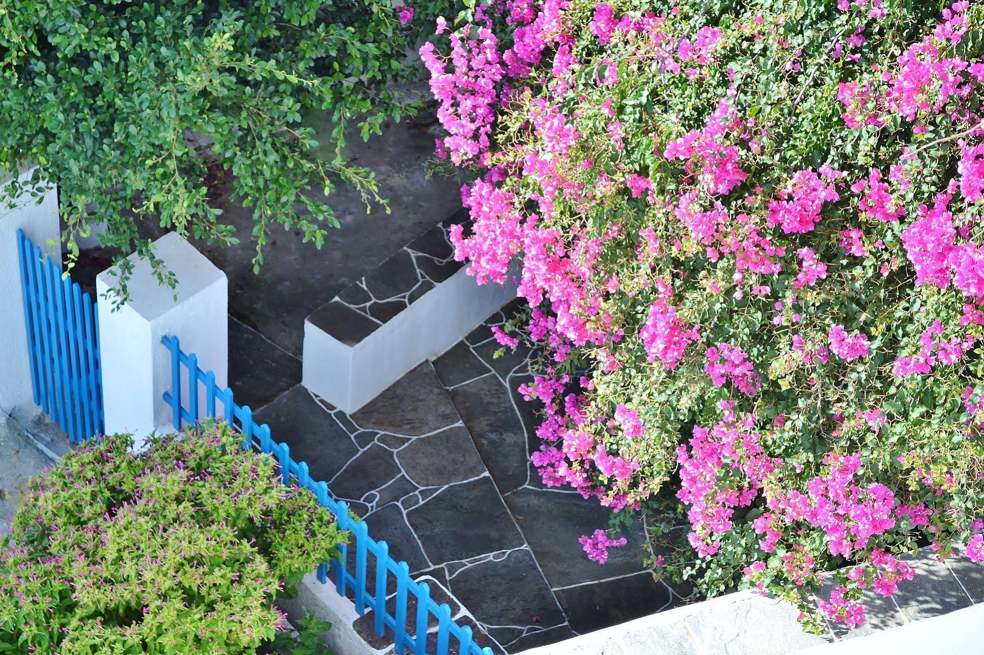 Purple Flower Villa