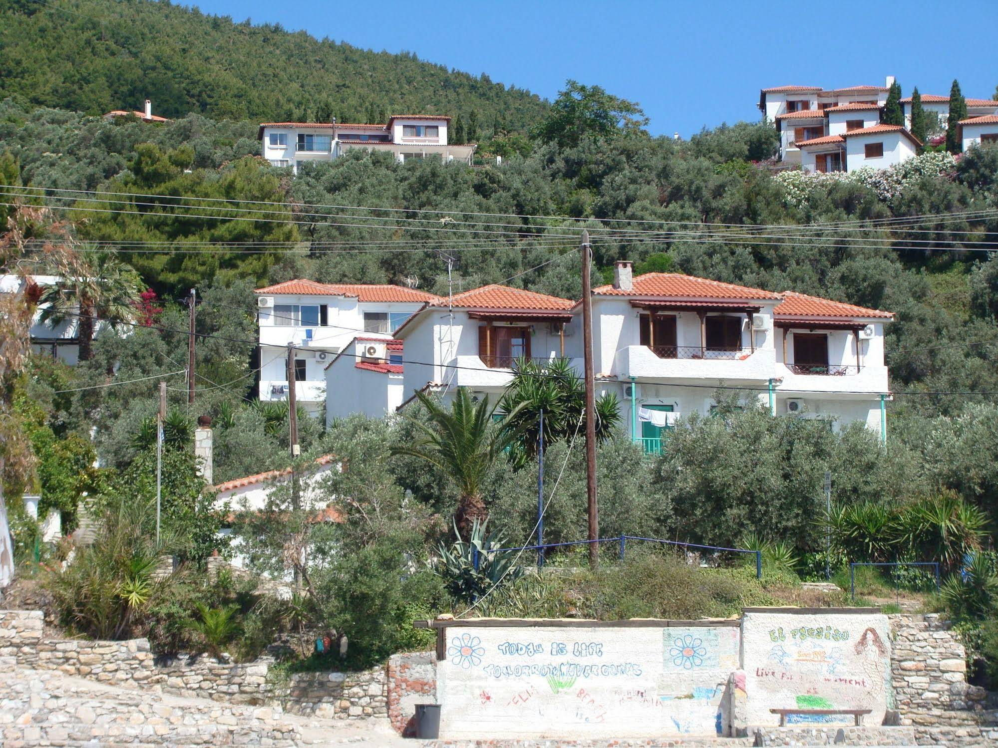 Azalea Studios