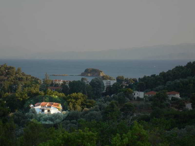 Zachos