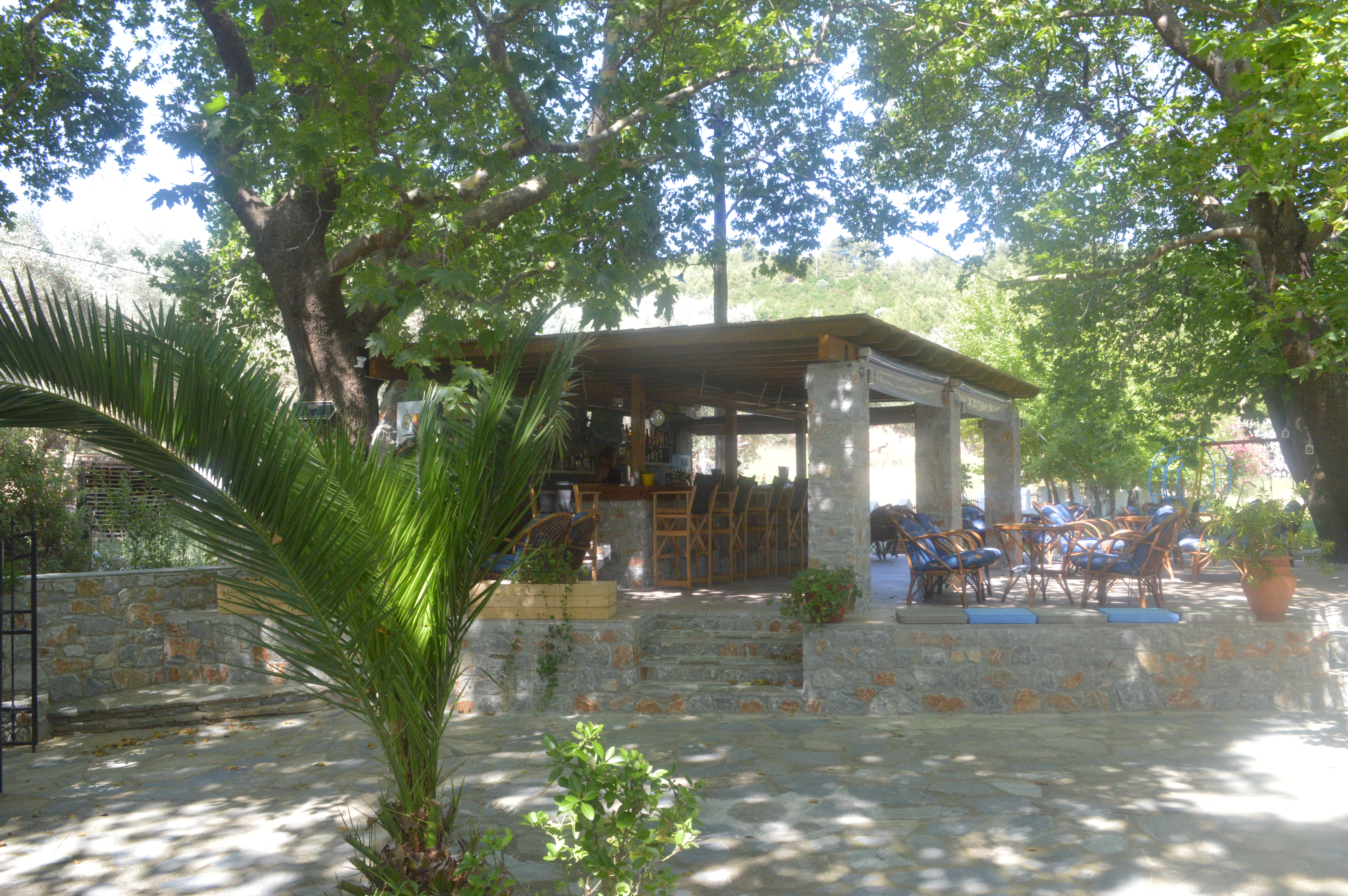 Zachos