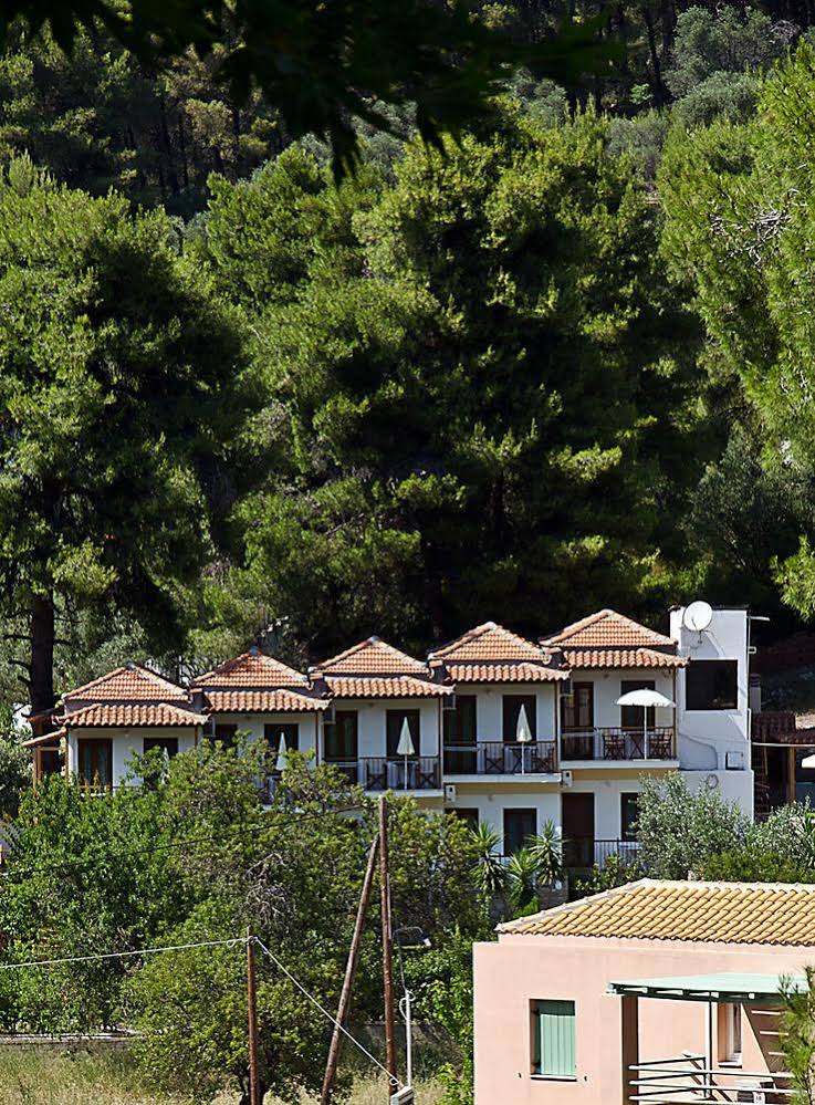 Pine Trees