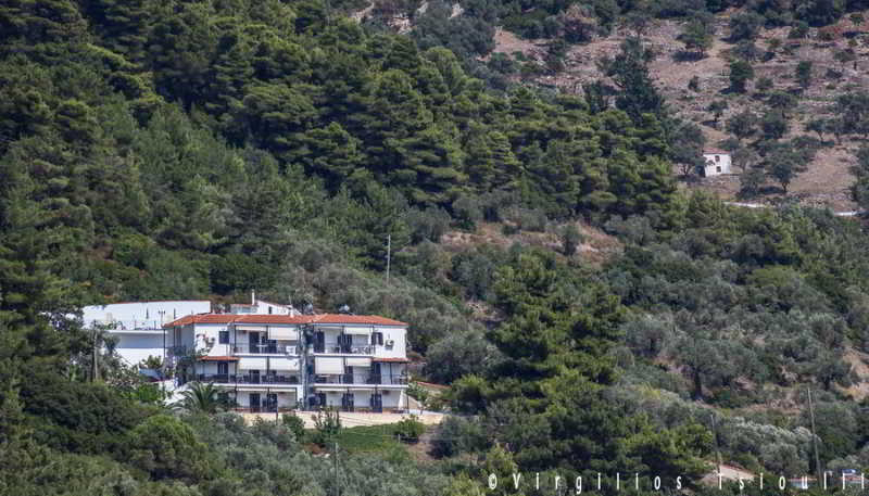 Aegean