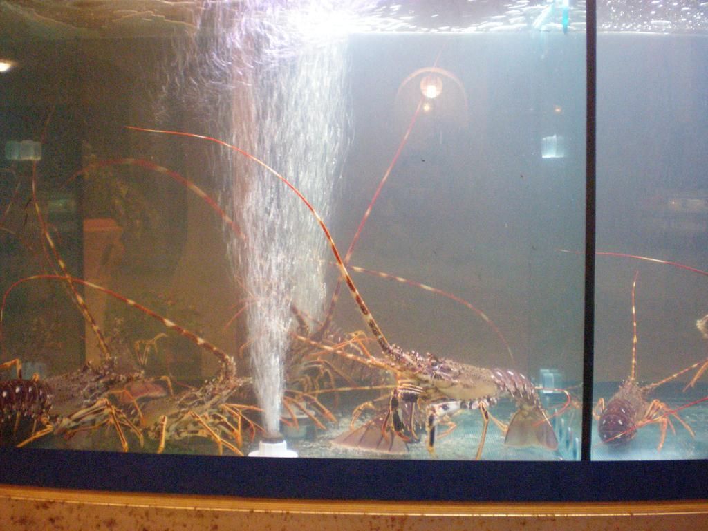 Agnanti Hotel