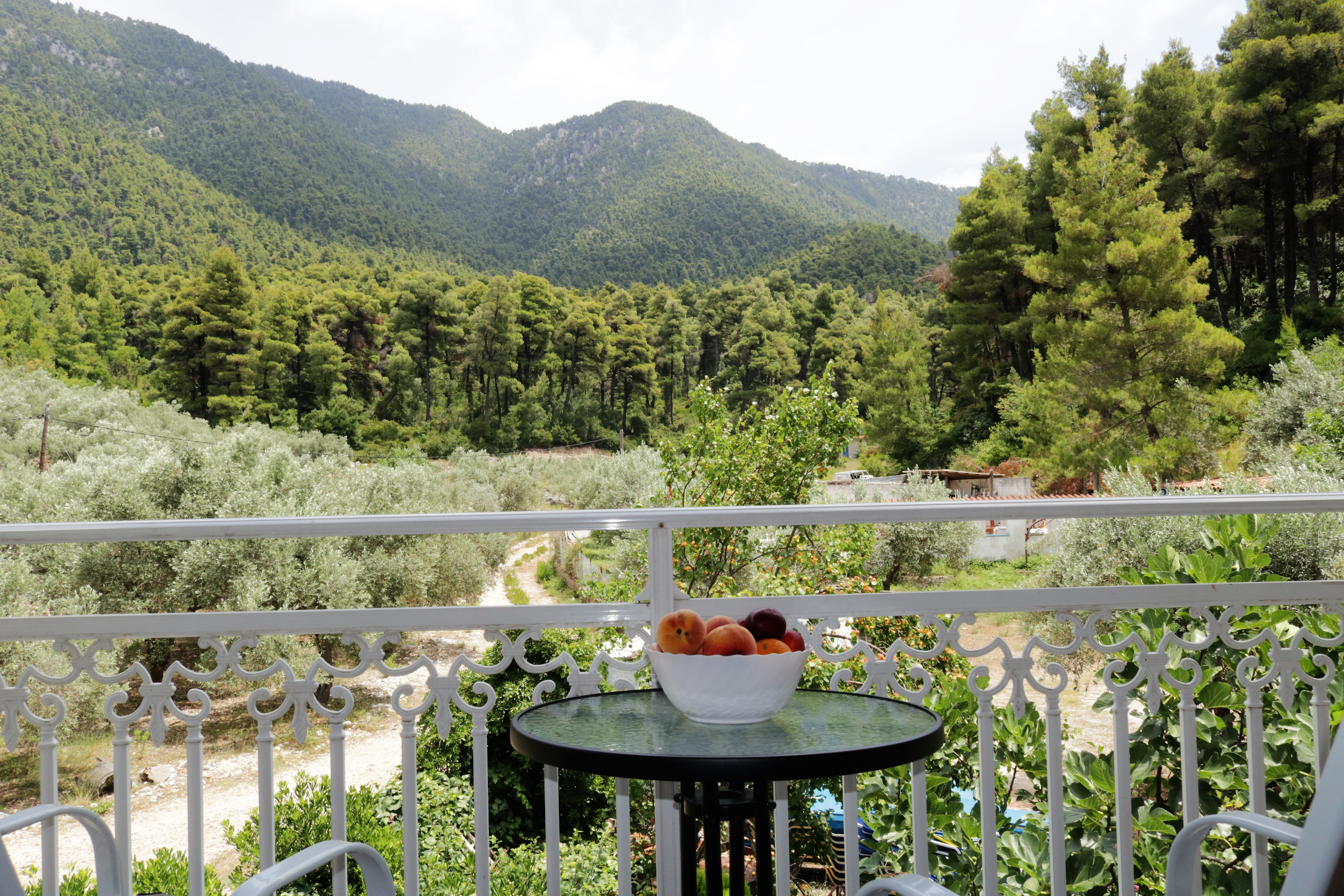 Elios Holidays Hotel
